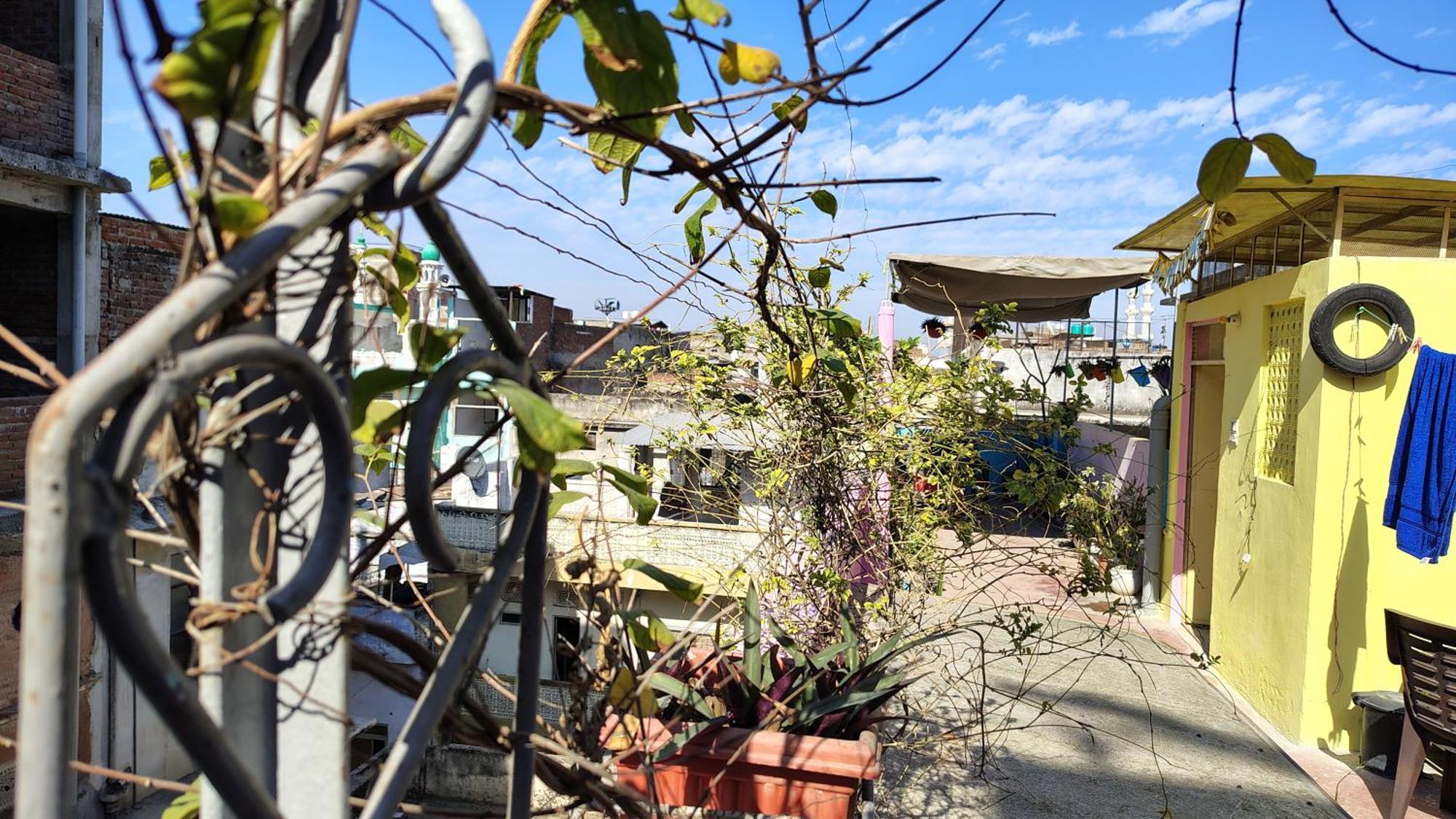 Ali Baba Hostel جايبور المظهر الخارجي الصورة